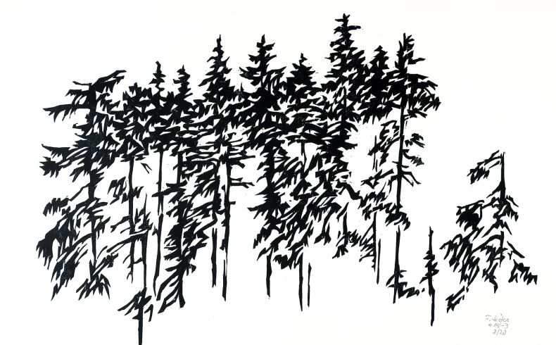 Friedrich Höfer, H 13 – 3 (Fichten), 2003. Holzschnitt in Schwarzweiß, konzentrierte, scherenschnittartig Darstellung einer Gruppe von Fichten, ohne weitere Hintergrundgestaltung