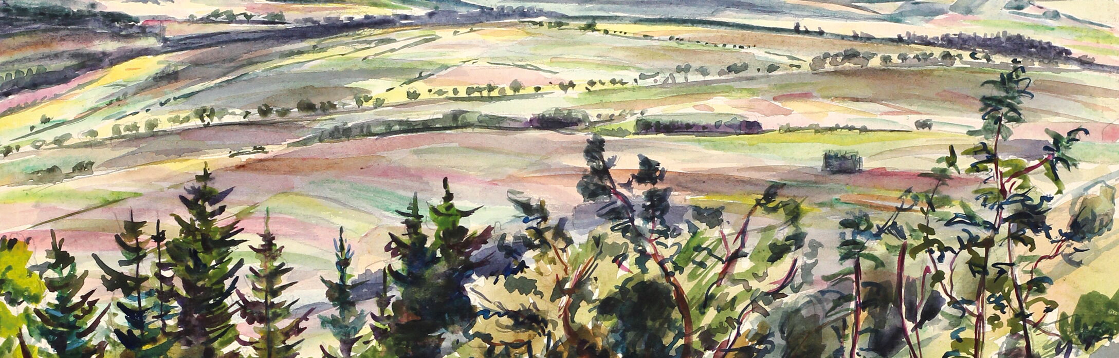 Rudolf Manuwald, Am Pöhlberg, 1940er Jahre. Aquarell mit einem Blick über Wiesen und Felder auf den Bärenstein, den Keilberg und den Fichtelberg im Hintergrund, im Vordergrund ein Wiesenhang mit Blumen und einem Felsbrocken, dahinter Büsche und Bäume