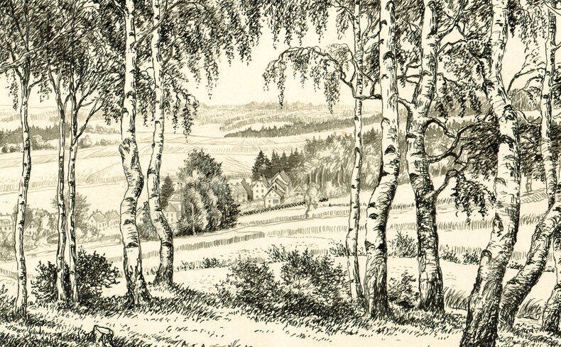 Blick von einer Anhöhe durch ein Birkenwäldchen hindurch auf Wiesen und Häuser des Dorfes Auerbach, realistische und sehr detailliert ausgeführte Tuschezeichnung